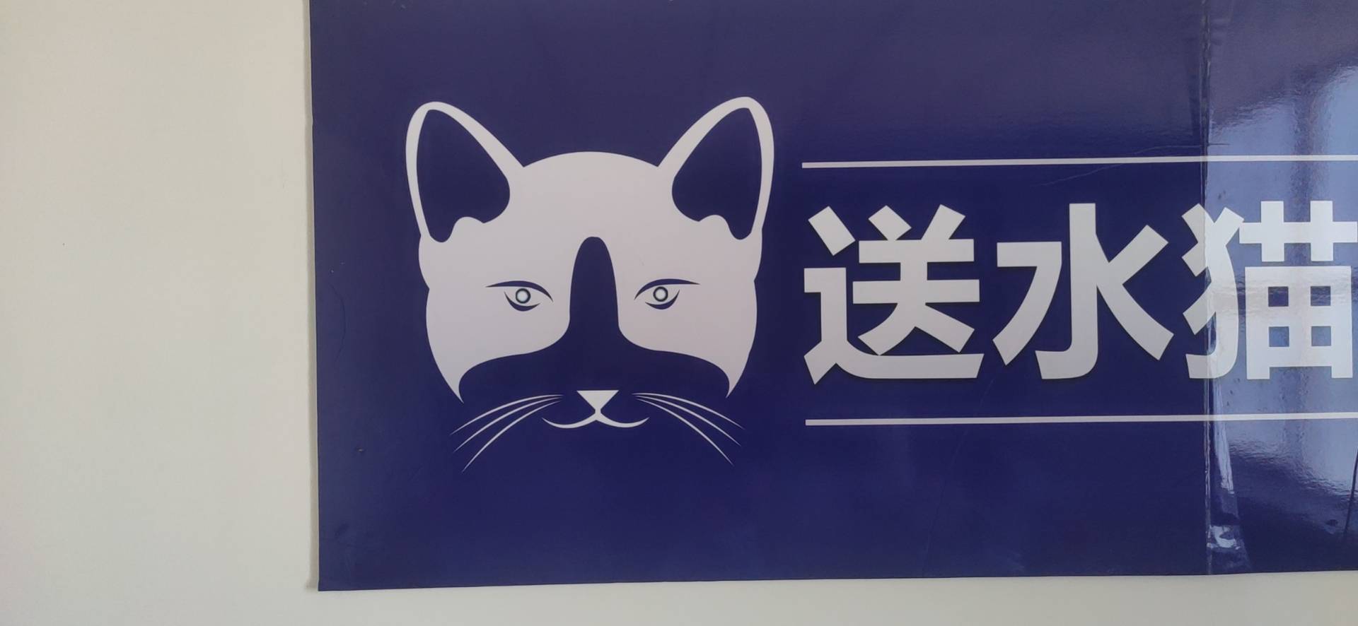 送水猫